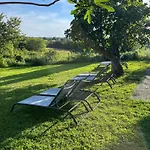 Aneta Authentic Istrian House With Pool & Garden - Pet Friendly