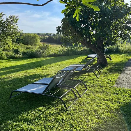 Aneta Authentic Istrian House With Pool & Garden - Pet Friendly